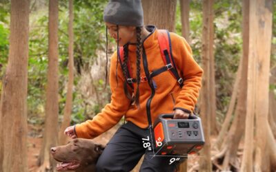 Portable Power Stations for Camping, Blackouts, and Off-Grid Weekends