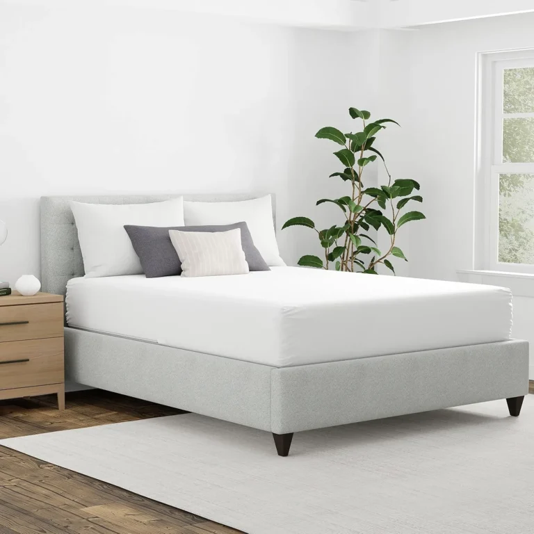 Breathe Easier at Night: Encasements That Shut Out Dust Mite Allergens
