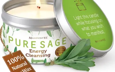 Long Lasting Scented Candles Ranked by Burn Time and Fragrance