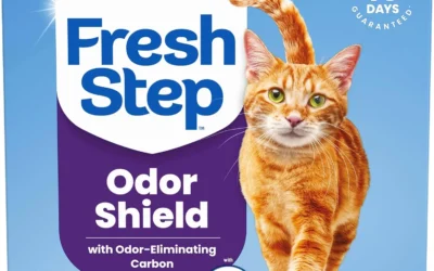 Fresher, Longer-Lasting Litter Boxes for Every Multi-Cat Household