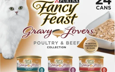 Every Fancy Feast Line Ranked, From Classic Pate to Broths