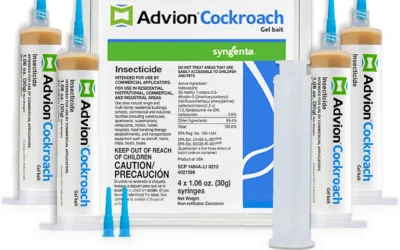 Gel Baits, Tablets, and Concentrates for Serious Roach Problems