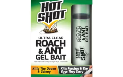 Products That Actually Break a Roach Infestation Cycle