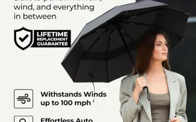 Top Umbrellas for Wind and Rain Ranked by Durability, Weight, and Coverage