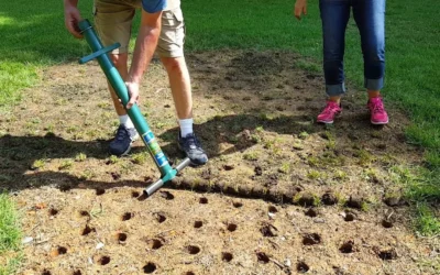 Bulb Planting Tools Ranked by Depth Accuracy, Durability, and Comfort