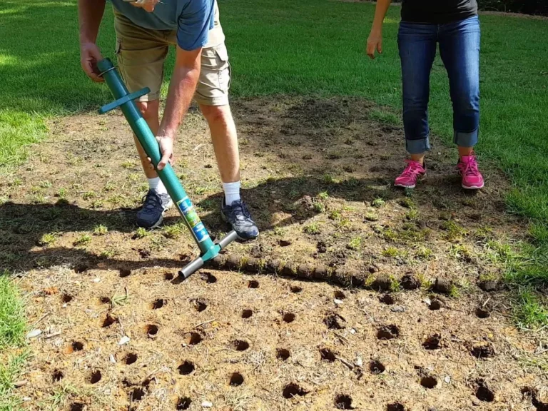 Bulb Planting Tools Ranked by Depth Accuracy, Durability, and Comfort