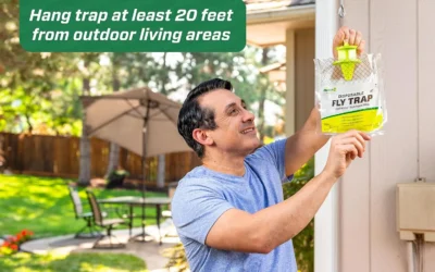 Baited Fly Traps and Refills That Pull Flies Away From the Patio