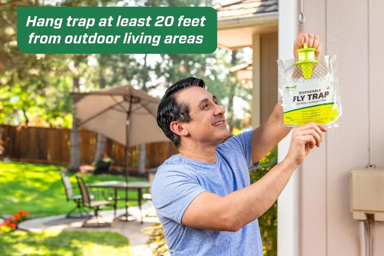 Baited Fly Traps and Refills That Pull Flies Away From the Patio