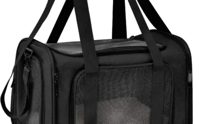 Pet Carriers Ranked by Cabin Clearance, Ventilation, and Safety