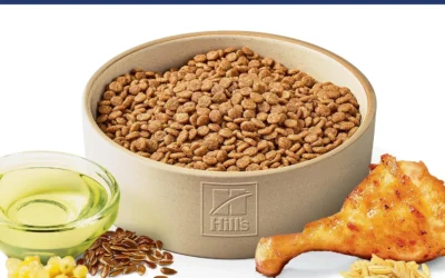 Check the Label Before the Logo: Top Dog Food Brands Compared