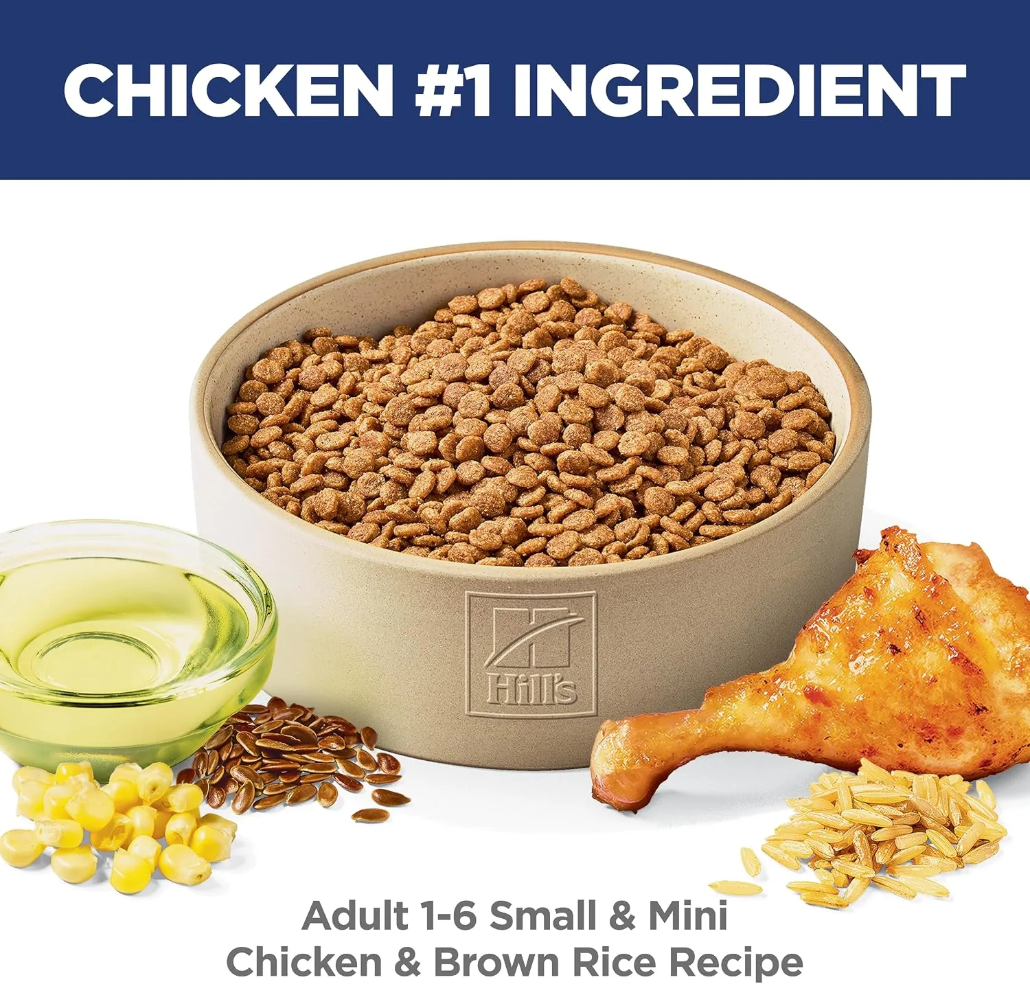 Check the Label Before the Logo: Top Dog Food Brands Compared