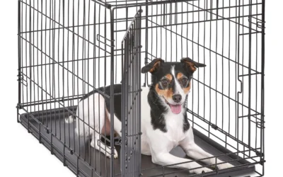 Wire, Soft-Sided, and Heavy-Duty Dog Crates Compared for Every Pup