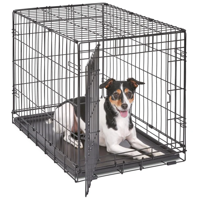 Wire, Soft-Sided, and Heavy-Duty Dog Crates Compared for Every Pup