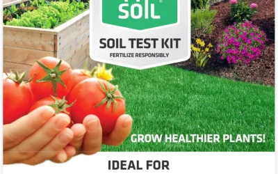 Soil Testers That Actually Tell You What Your Garden Needs