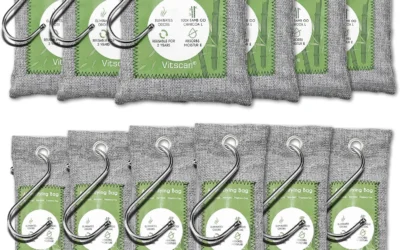 Charcoal Odor Absorbers Ranked by Porosity, Placement, and Longevity