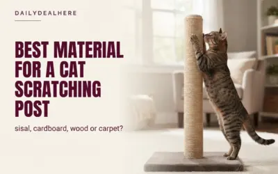 Sisal Wins, but Watch What Your Cat Already Scratches