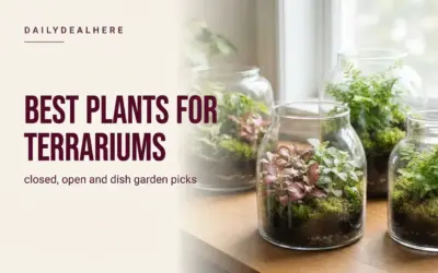 Match the Plants to Each Other First