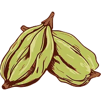 Elaichi & Co. logo