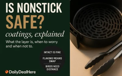 What the Nonstick Layer Is and When to Worry