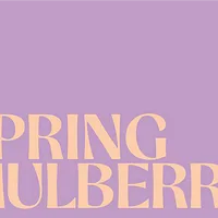 Spring & Mulberry logo