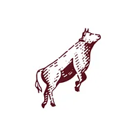 Steadfast Provisions logo