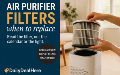 Read the Filter, Not the Calendar or the Light